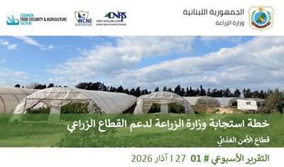 القطاع الزراعي في لبنان في قلب الأزمة: 22% من الأراضي متضرّرة وتهديد مباشر للأمن الغذائي