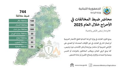 وزارة الزراعة: ضبط 744 مخالفة خلال العام 2025 ضمن محاضر ضبط المخالفات في الأحراج