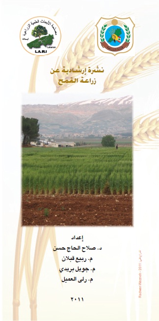 نشرة إرشادية عن زراعة القمح
