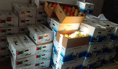 ضبط ثلاث شحنات زراعية مهرّبة وتسليم الكميات الصالحة إلى المستشفى العسكري