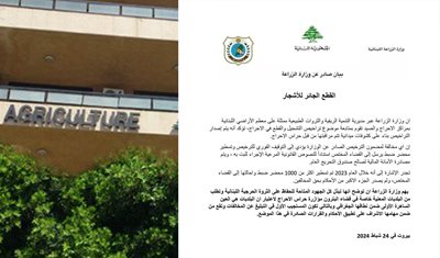 بيان صادر عن وزارة الزراعة حول القطع الجائر للأشجار