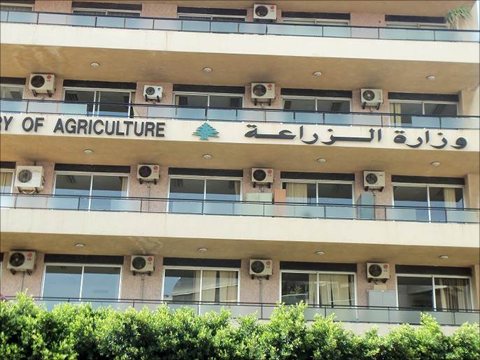وزارة الزراعة حريصون على الشفافية و نثق في القضاء بقضية مطاحن لبنان الحديثة 