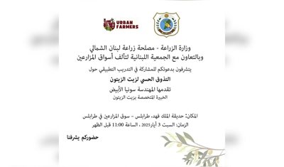 تدريب تطبيقي حول التذوق الحسي لزيت الزيتون