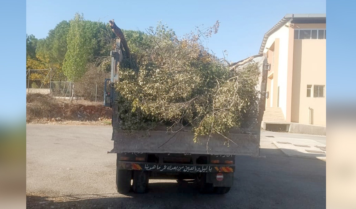 وزارة الزراعة تتدخل لضبط مخالفات قطع الأشجار الحرجية في قضاء بنت جبيل