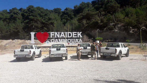 6a.jpg