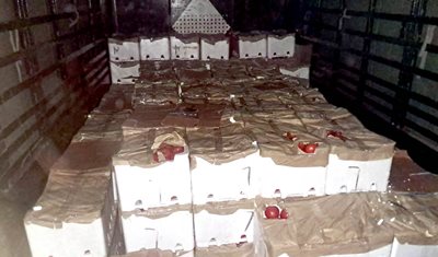 ضبط كميات من البندورة والملبوسات المهرّبة بالتنسيق بين الجمارك ووزارة الزراعة