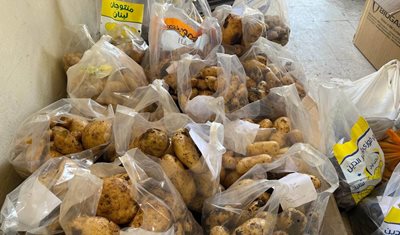 وزارة الزراعة تنفّذ حملة مسح ميدانية لحقول البطاطا في عكار ضمن خطة دعم الصادرات الزراعية نحو أوروبا