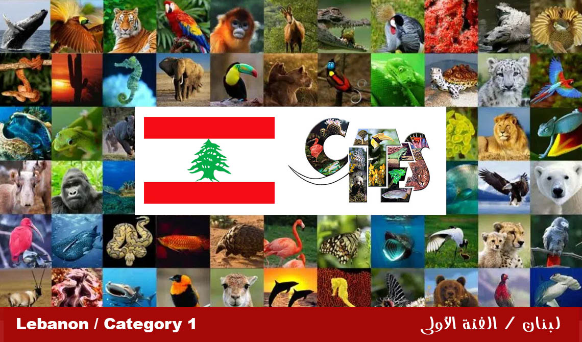 إنجاز لوزارة الزراعة على الساحة الدولية: لبنان في الفئة الأولى لتطبيق سايتس