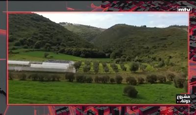 انفوغراف 