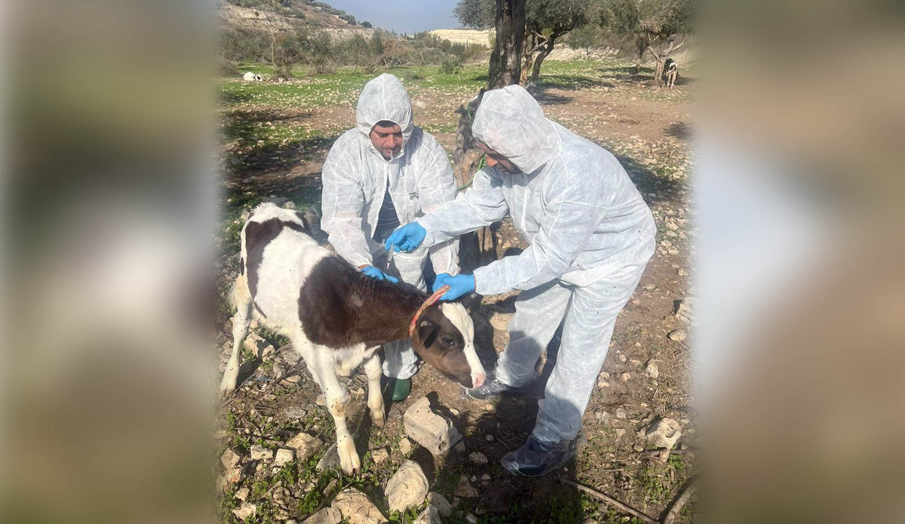 بيان صادر عن وزارة الزراعة