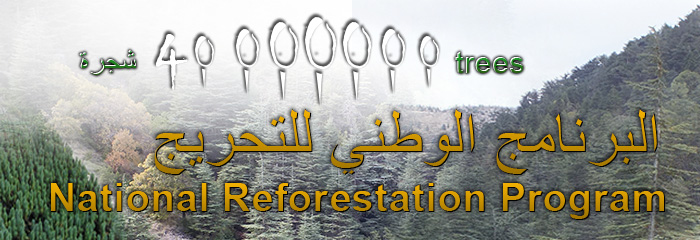 MOA_NationalReforestationProgram.jpg