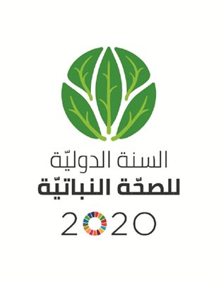 السنة الدولية للصحة النباتية 2020