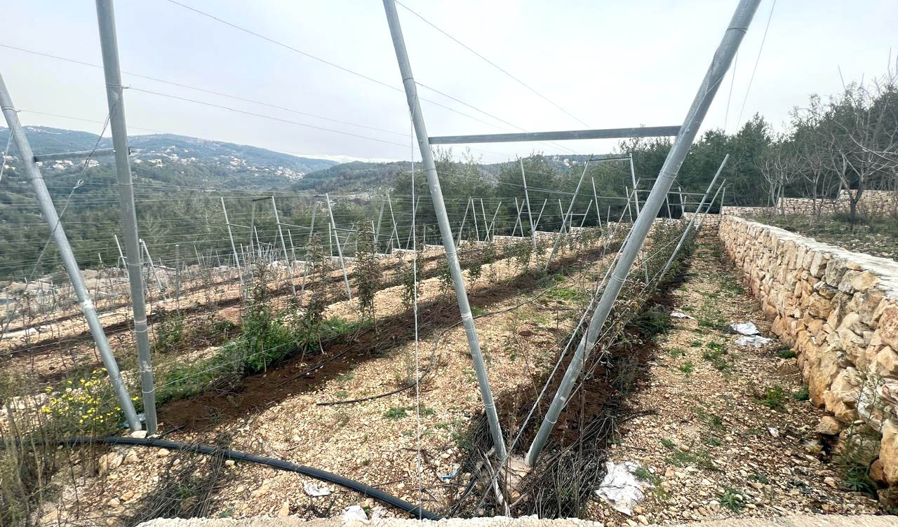 وزارة الزراعة وAgridev تطلقان مرحلة التقييم الميداني ضمن مشروع تعزيز الممارسات الزراعية الوطنية الجيدة (N-GAP) بدعم من الحكومة الهولندية