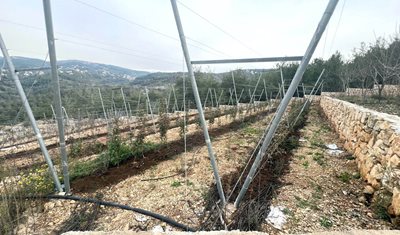 وزارة الزراعة وAgridev تطلقان مرحلة التقييم الميداني ضمن مشروع تعزيز الممارسات الزراعية الوطنية الجيدة (N-GAP) بدعم من الحكومة الهولندية