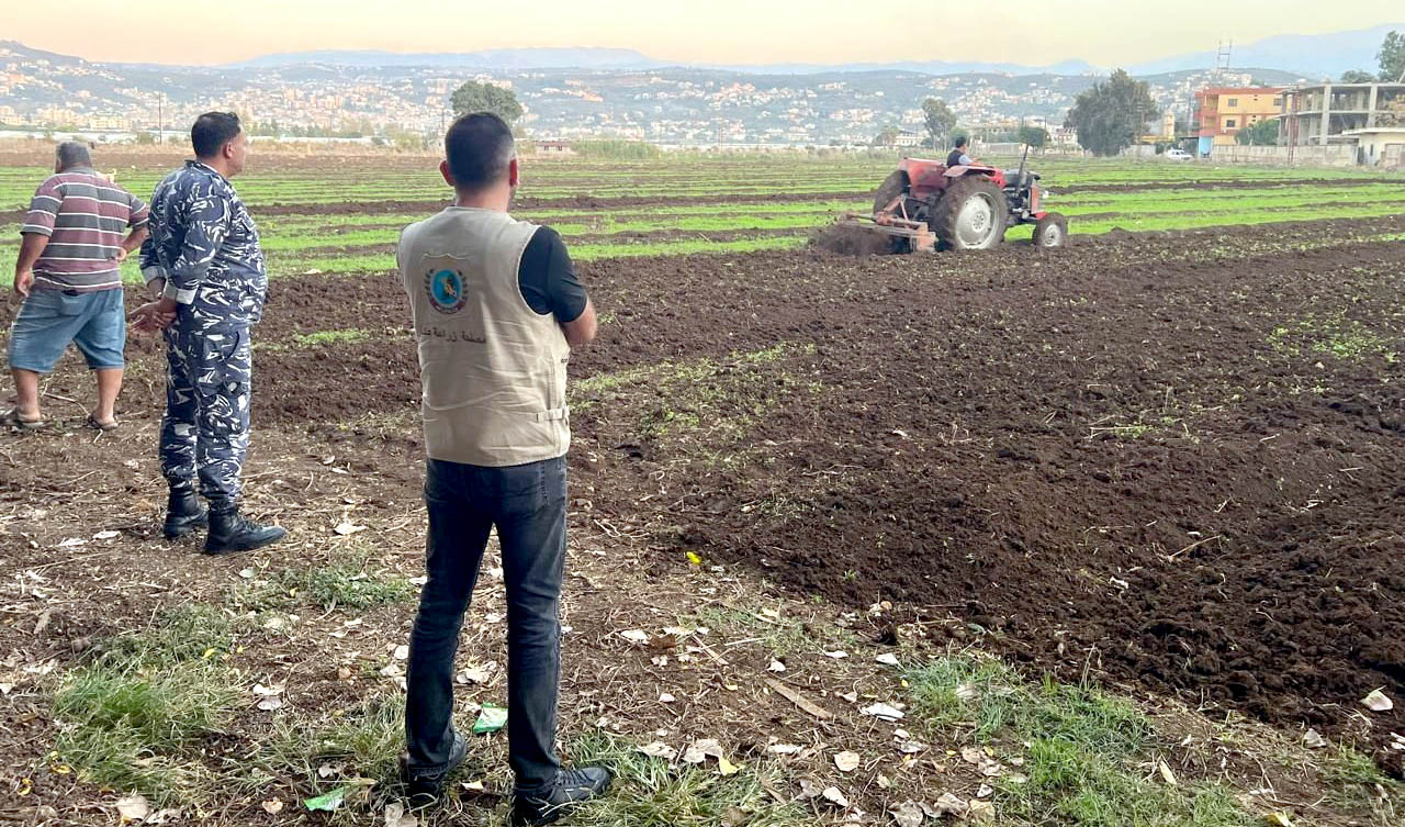 وزارة الزراعة تتحرّك لحماية سلامة الغذاء: إتلاف مزروعات غير مطابقة للمعايير الصحية