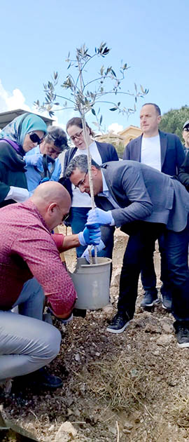19a.jpg