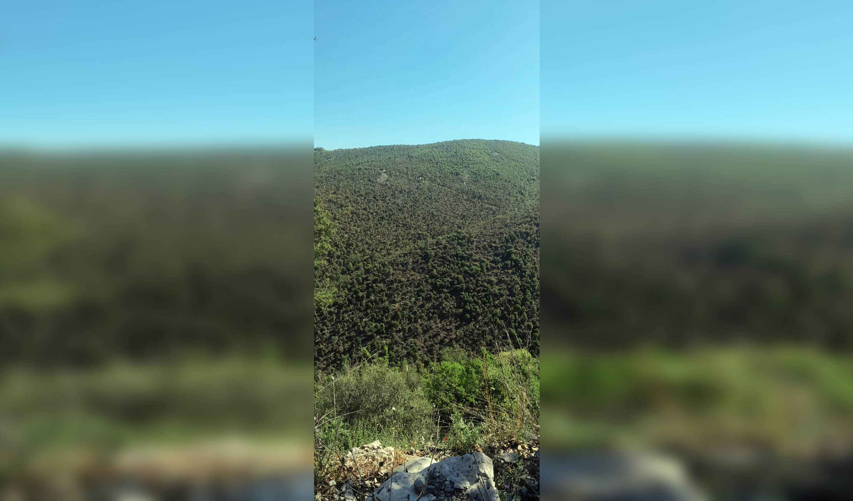وزارة الزراعة توضح ملابسات الأعمال الجارية في جبال جبيل – رأس أسطا