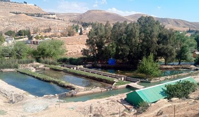 وزارة الزراعة تتحرّك سريعاً لمتابعة قضية بيع أسماك نافقة في الاسواق