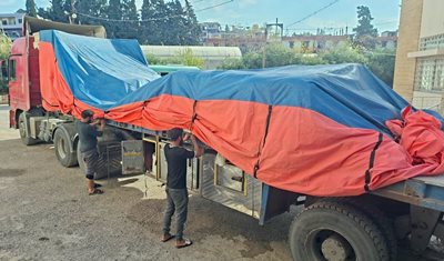 وزارة الزراعة توزّع 30 طنًا من بذور القمح المحسّنة على 600 مزارع لتعزيز الإنتاج والأمن الغذائي