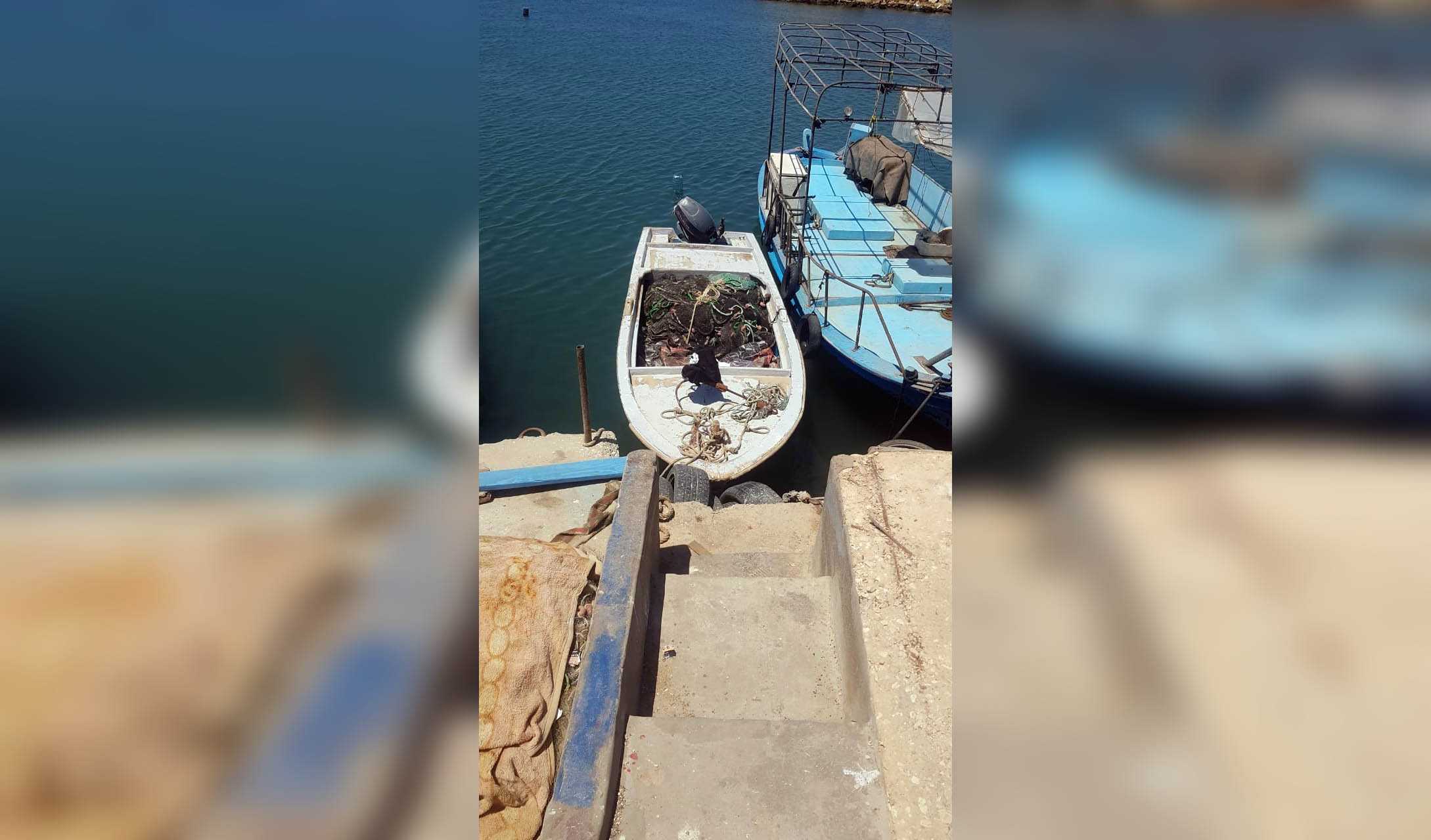 وزارة الزراعة: مصادرة كميات من الأسماك المخالفة وتسطير محاضر ضبط في مرافئ الدورة والأوزاعي