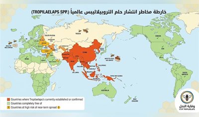 إعلان إلى مربي النحل والمستوردين وتجار مستلزمات تربية النحل: إجراءات وقائية لمنع دخول وانتشار آفة التروبيلايلبس (Tropilaelaps spp.) في لبنان